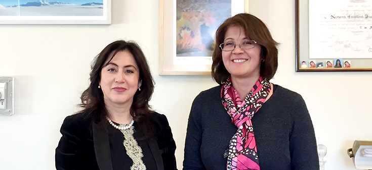 Chile y Bolivia revisan avance de agenda técnica bilateral