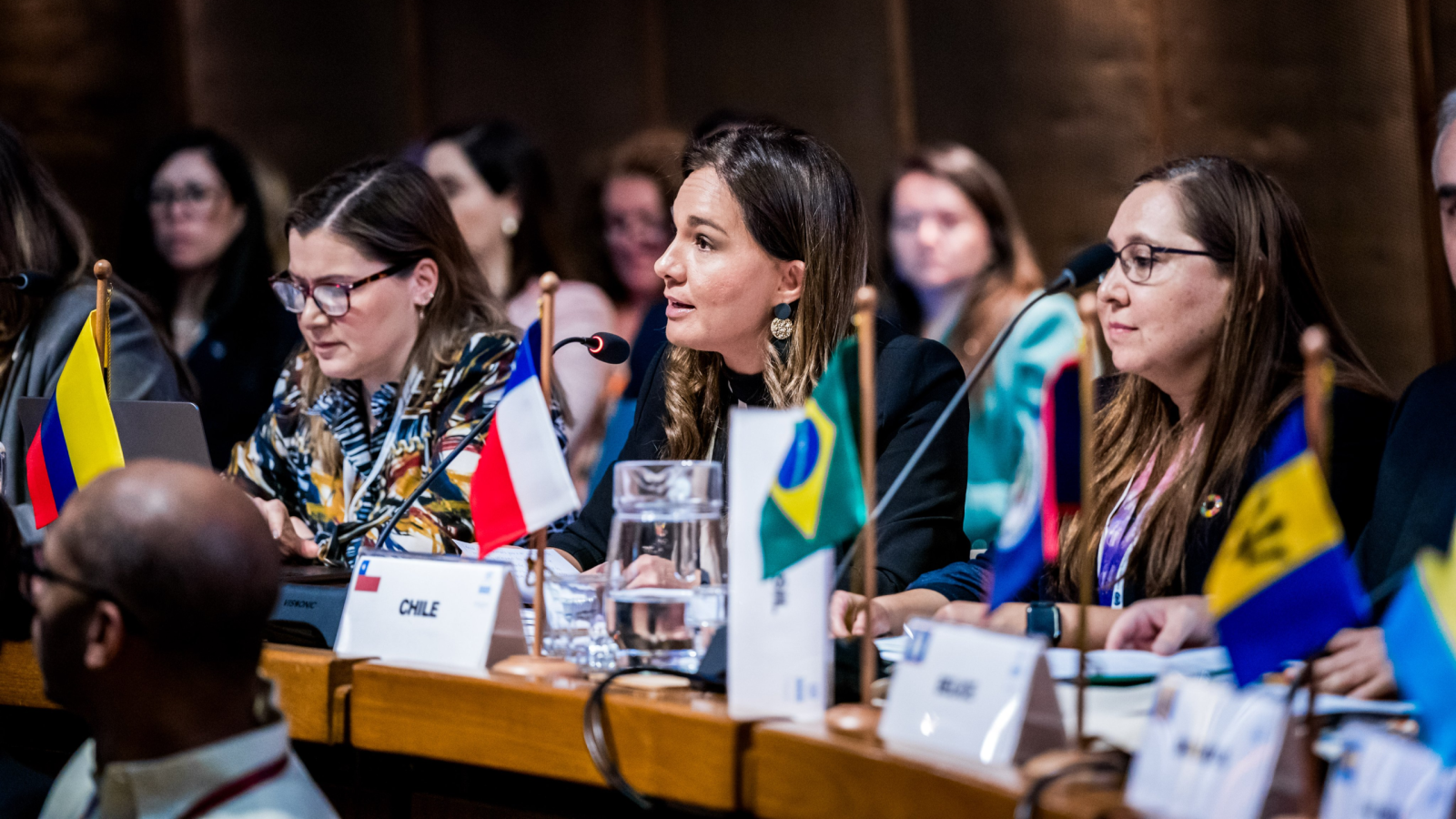 Subsecretaria de Relaciones Exteriores en foro sobre desarrollo sostenible: “Seguiremos promoviendo una arquitectura financiera global más equitativa”