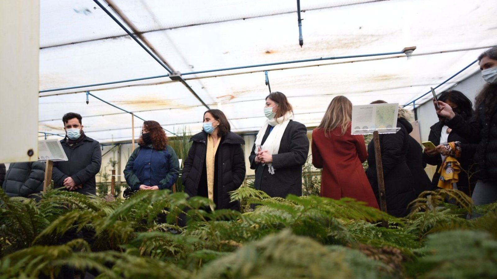 Ministra Antonia Urrejola visita Bosque Antártico en vivero de la Conaf