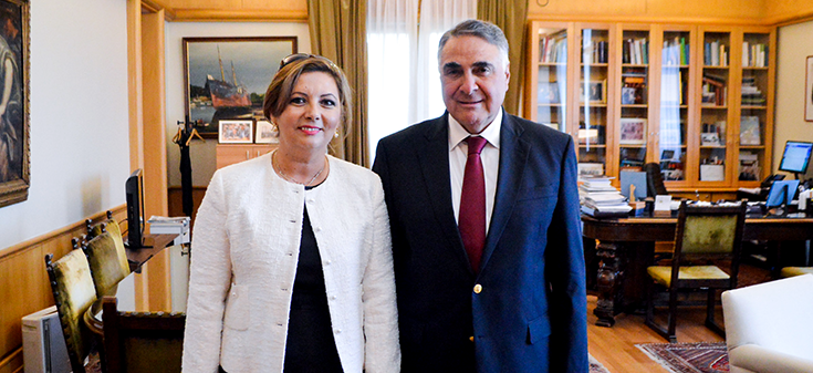 Subsecretario despide a Embajadora de Turquía en Chile