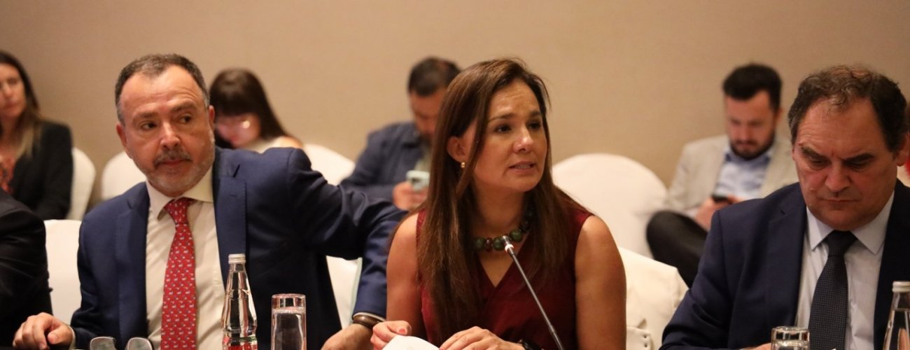 Subsecretaria participa en sesión especial de la Comisión de Relaciones Exteriores del Senado en Arica