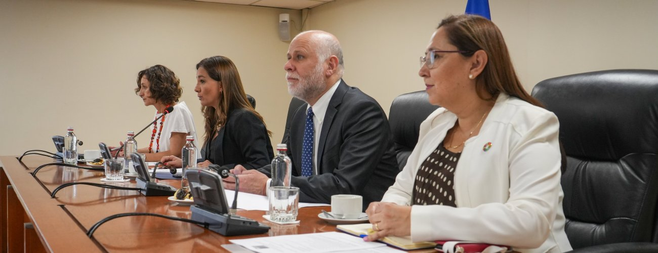 Subsecretaria encabeza comité del Marco de Cooperación de Naciones Unidas para el Desarrollo Sostenible 2023-2026