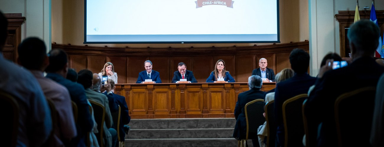 Subsecretaria participa en el lanzamiento de la Fundación Chile-África