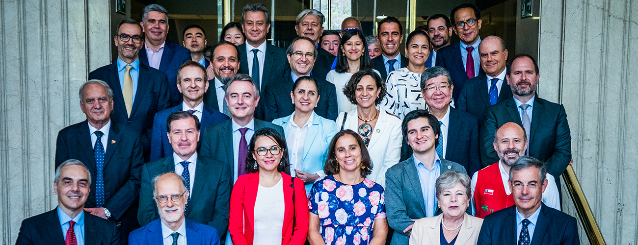 Canciller Antonia Urrejola agradeció ayuda internacional para el combate de Incendios Forestales