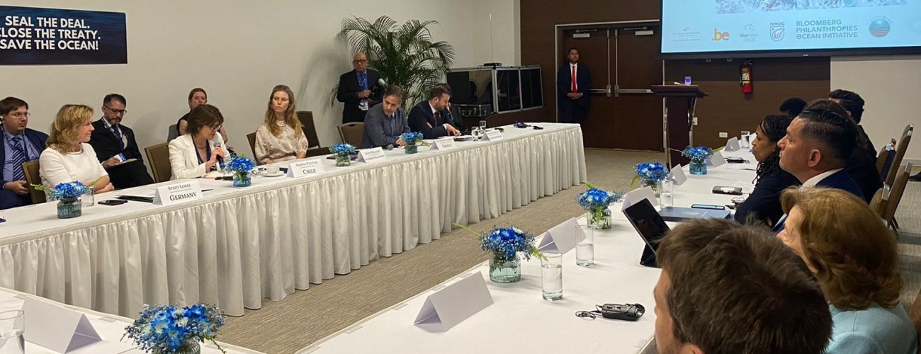 Subsecretaria Ximena Fuentes participa en conferencia sobre la protección de la biodiversidad en alta mar y reafirma el apoyo de Chile al tratado BBNJ