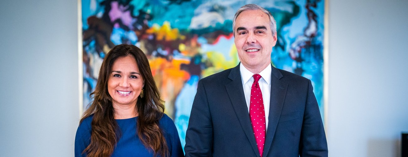 Subsecretaria Gloria de la Fuente recibe al Embajador de Brasil