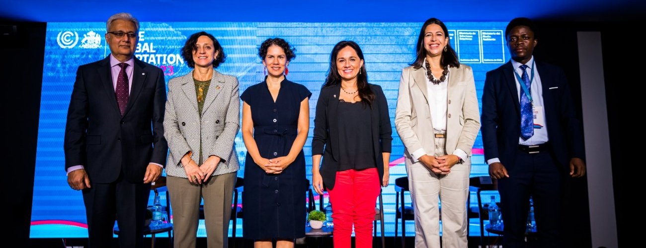 Subsecretaria Gloria de la Fuente inaugura conferencia internacional sobre cambio climático: “La adaptación también es una herramienta de justicia social”