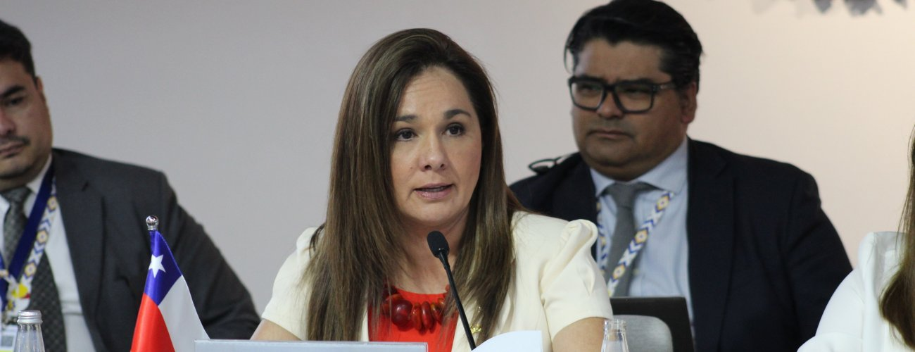 Subsecretaria lidera participación de Chile en la XXIX Cumbre Iberoamericana