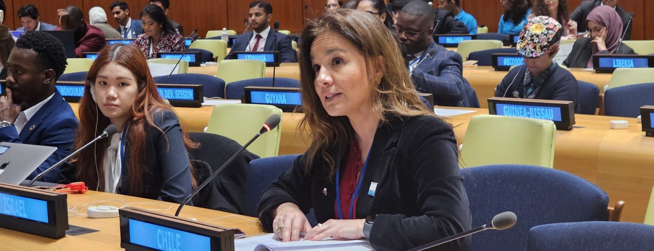 BBNJ: Subsecretaria reafirma en ONU la candidatura de Valparaíso como sede del acuerdo internacional sobre gobernanza oceánica