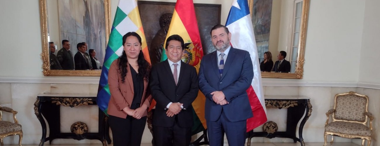 Chile y Bolivia realizan reunión extraordinaria de la Comisión Mixta de Límites