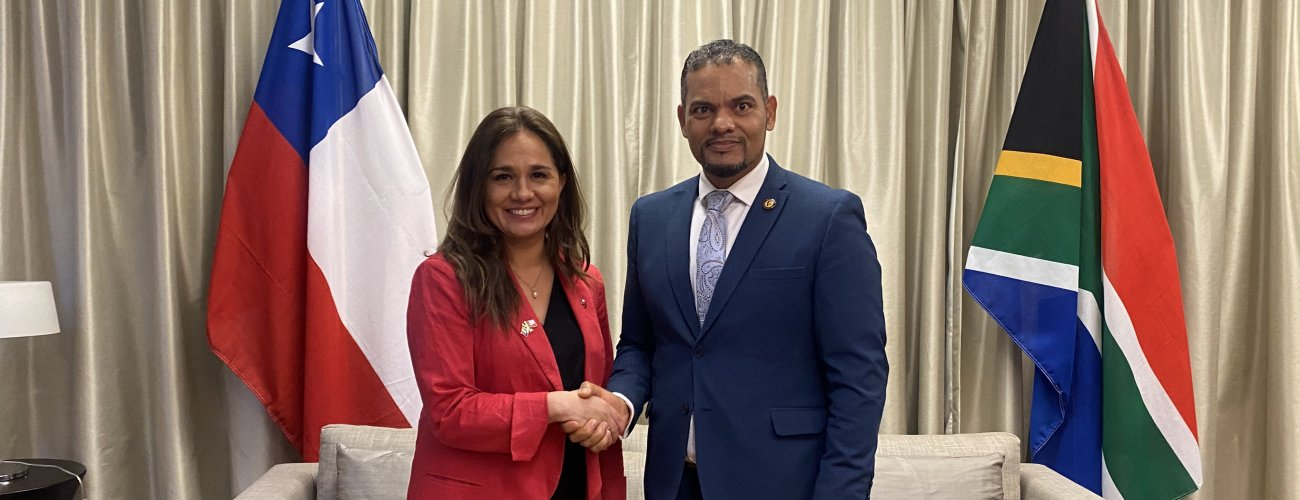 Subsecretaria Gloria de la Fuente se reúne con el viceministro de Relaciones Internacionales y Cooperación de Sudáfrica y destacan el excelente estado de la relación bilateral