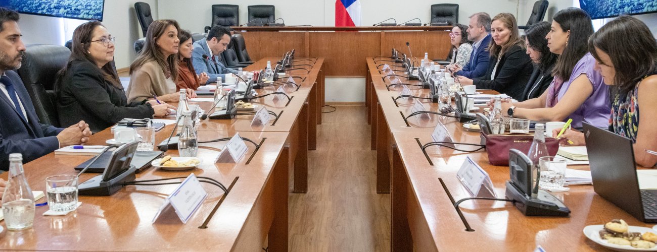 Subsecretaria Gloria de la Fuente participa en la primera reunión del Comité Directivo del acuerdo para implementar el Programa País para Chile del PNUD 2023-2026