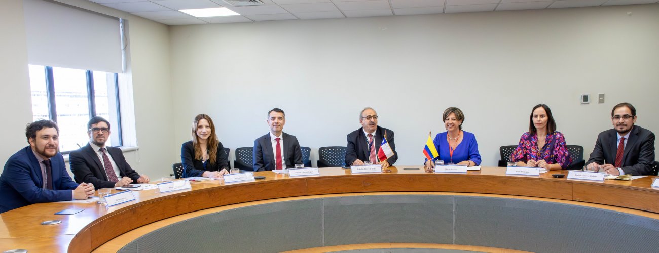 Encuentro entre Chile y Colombia: Exitosa V Reunión de la Comisión de Asuntos Culturales y Educativos