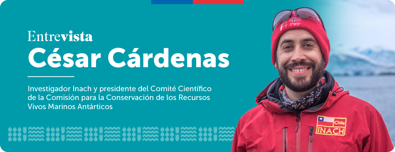 Dr. César Cárdenas: “Chile cumple un rol importante en materias antárticas en el contexto internacional”
