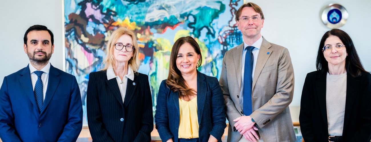 Subsecretaria de Relaciones Exteriores y ministro de Justicia se reúnen con delegación de la Comisión de Venecia