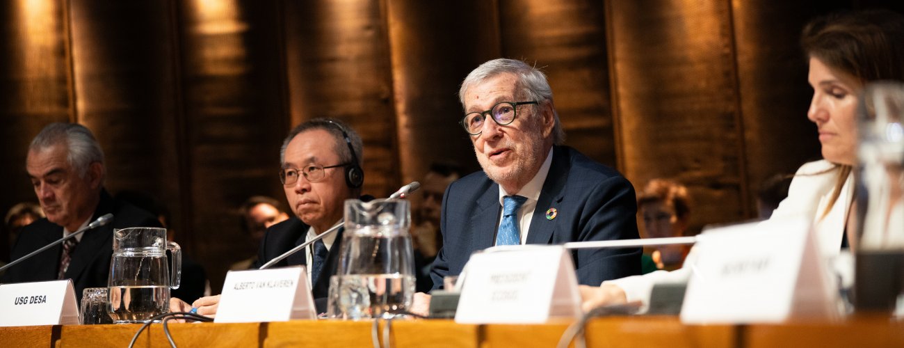 Canciller participa en inauguración de reunión especial del Ecosoc y destaca la importancia del trabajo decente para lograr prosperidad