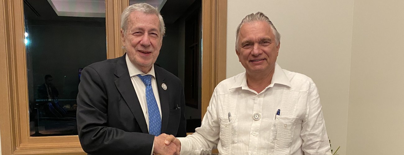 Canciller sostiene bilaterales en el marco de Celac