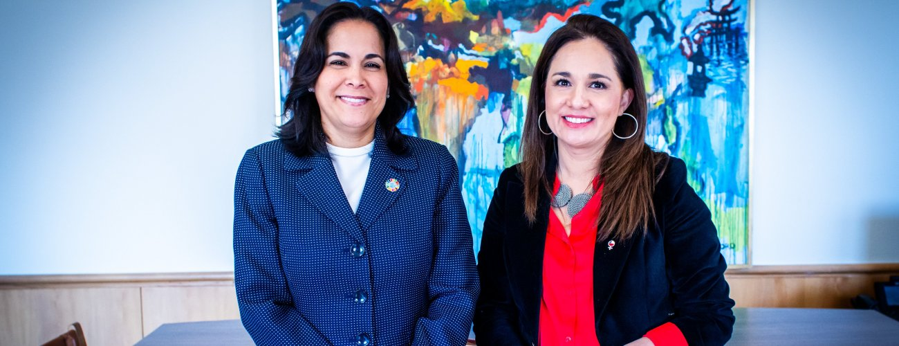 Canciller (s) se reúne con la coordinadora de ONU Mujeres en Chile para abordar iniciativas de la agenda Mujeres, Paz y Seguridad