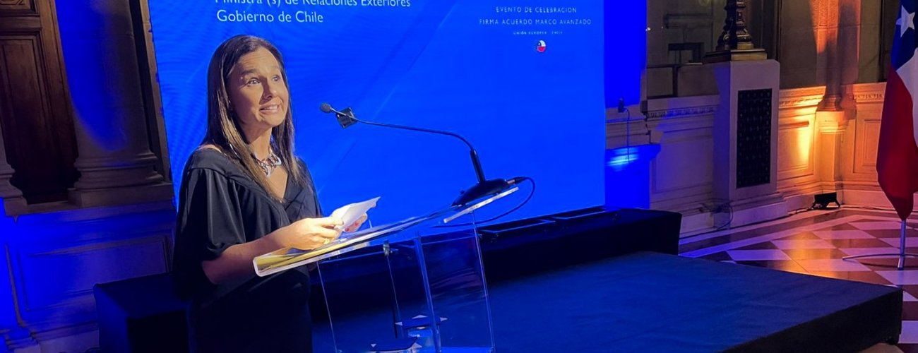 Subsecretaria Gloria de la Fuente asiste a ceremonia de despedida del embajador de la Unión Europea en Chile