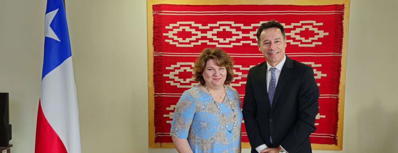 Secretario General se reúne con relatora especial de Naciones Unidas en la esfera de los derechos culturales