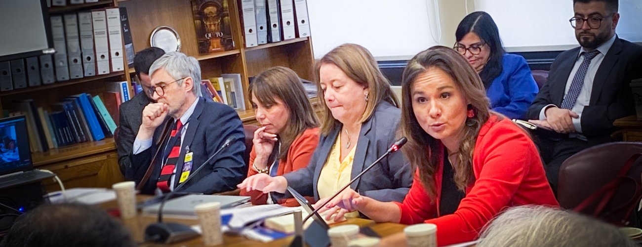 Subsecretaria Gloria de la Fuente participa en comisión de Relaciones Exteriores del Senado