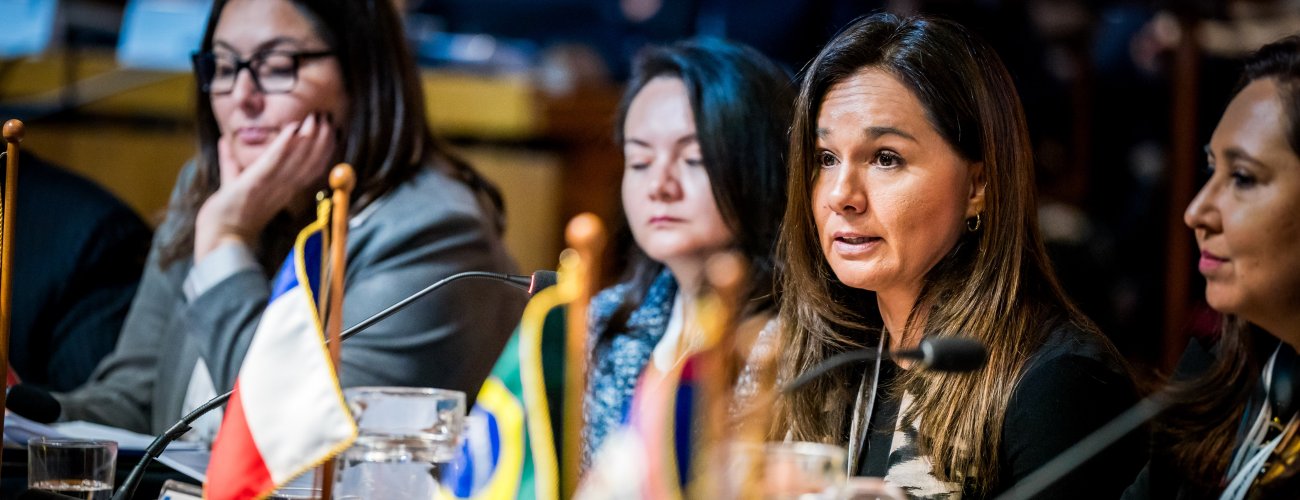 Subsecretaria participa en Foro de los Países de América Latina y el Caribe sobre el Desarrollo Sostenible