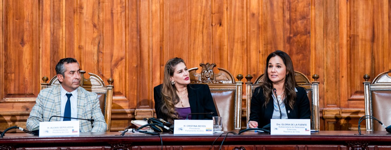 Subsecretaria de Relaciones Exteriores participa de seminario sobre seguridad y crimen organizado