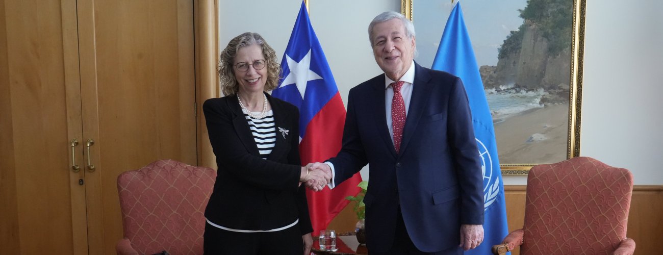 Canciller se reúne con la directora ejecutiva del Programa de las Naciones Unidas para el Medio Ambiente