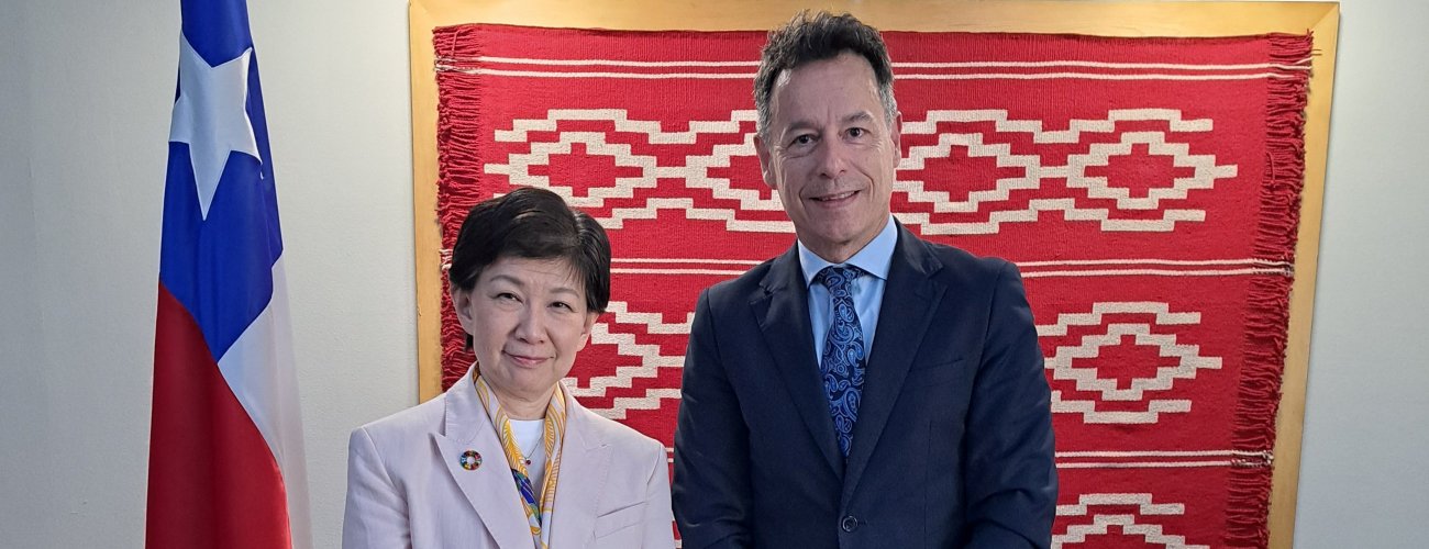 Secretario general de Política Exterior se reúne con secretaria general adjunta y alta representante para Asuntos de Desarme de Naciones Unidas