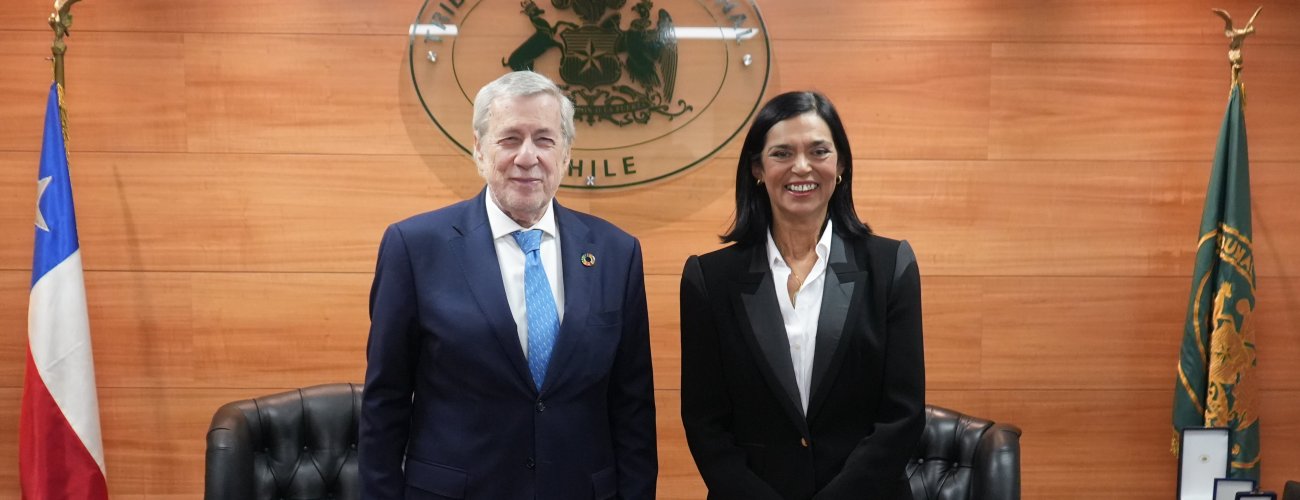 Canciller se reúne con presidenta del Tribunal Constitucional