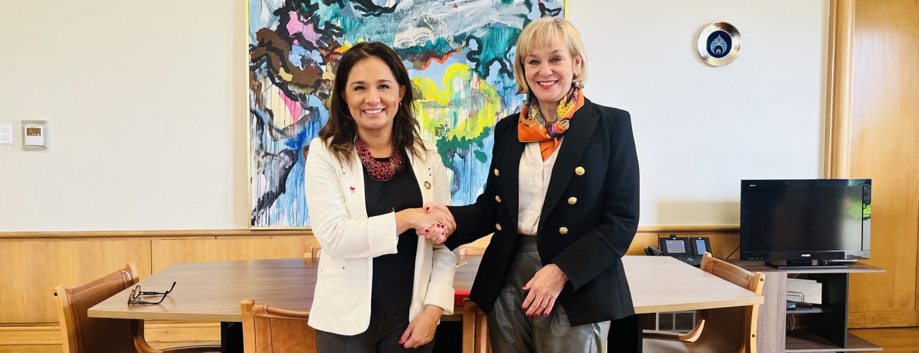 Subsecretaria de Relaciones Exteriores se reúne con directora para Latinoamérica de DCAF
