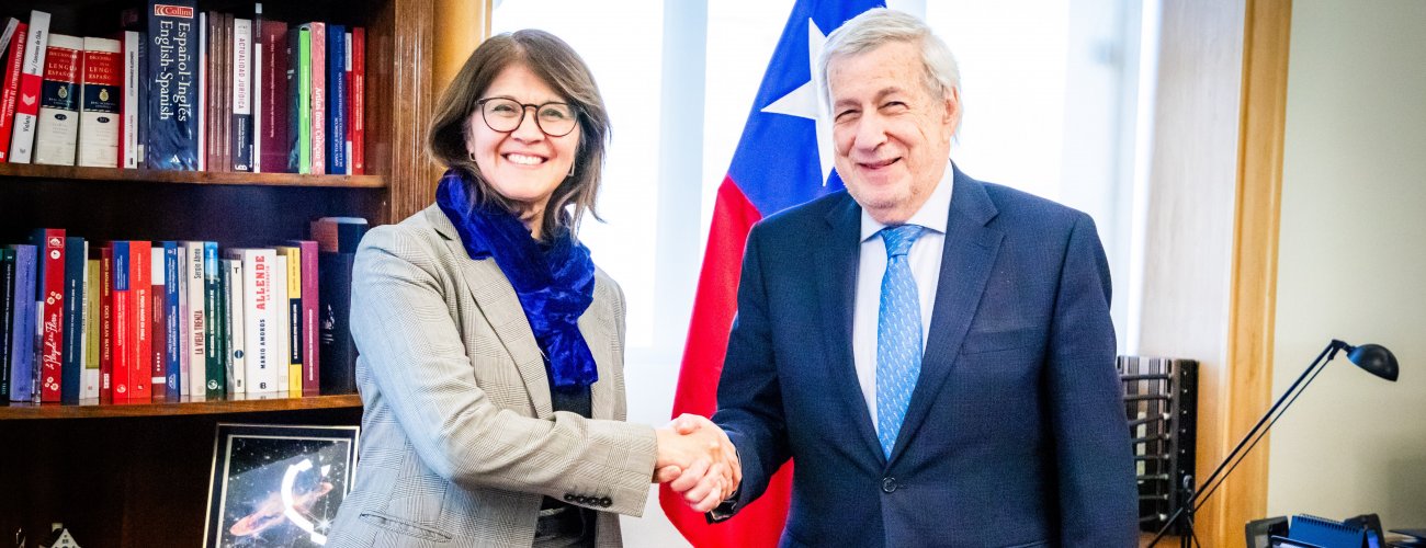 Canciller se reúne con embajadora Ximena Fuentes