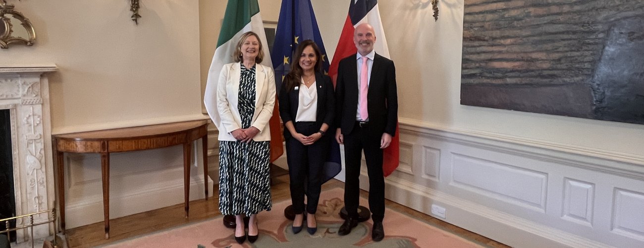 Subsecretaria lidera las VII Consultas Políticas con Irlanda