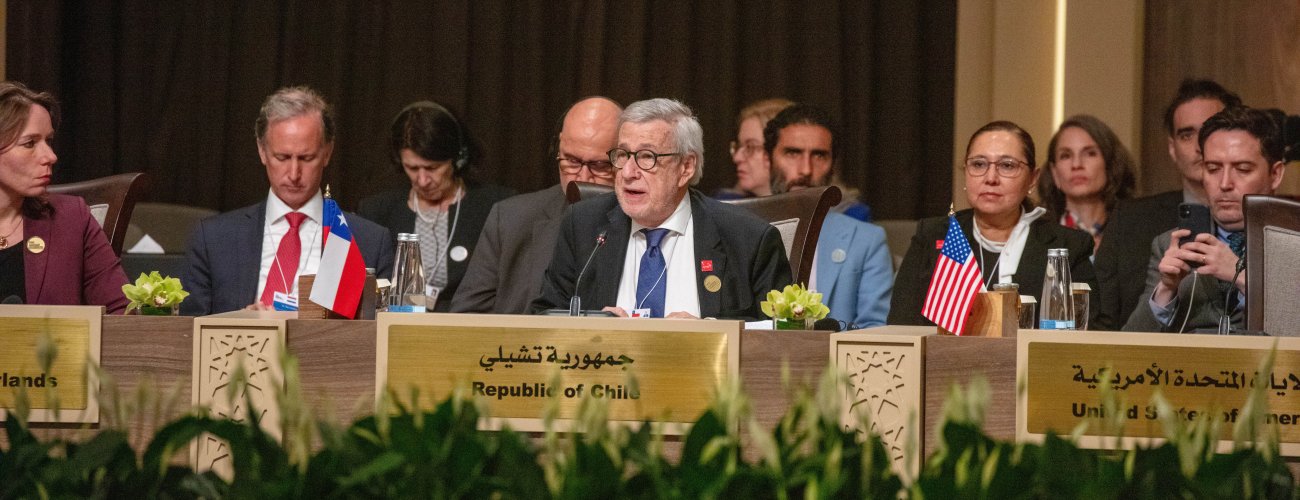 Canciller participa en conferencia sobre Gaza: “Se necesita urgentemente la acción de la comunidad internacional”