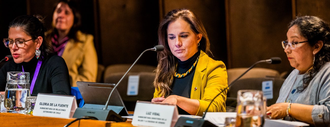 Canciller (s) participa de la IX Conferencia de las Partes del Mesecvi