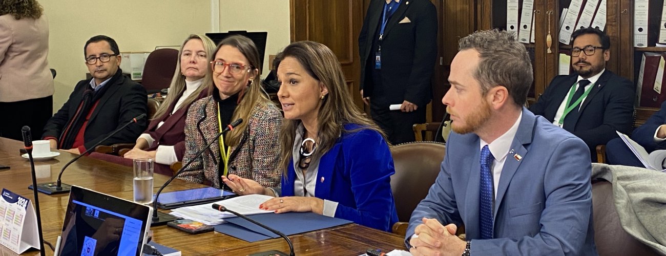 Subsecretaria de la Fuente participa en comisión de Relaciones Exteriores de la Cámara de Diputadas y Diputados