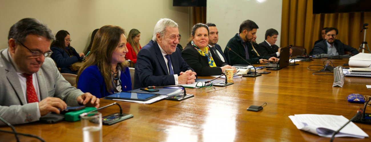 Canciller Alberto van Klaveren expone en la Comisión de Defensa Nacional