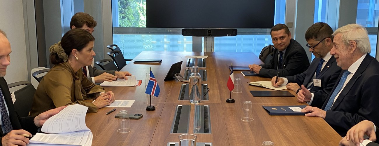 Canciller sostiene reuniones bilaterales con sus pares de Islandia y Liechtenstein