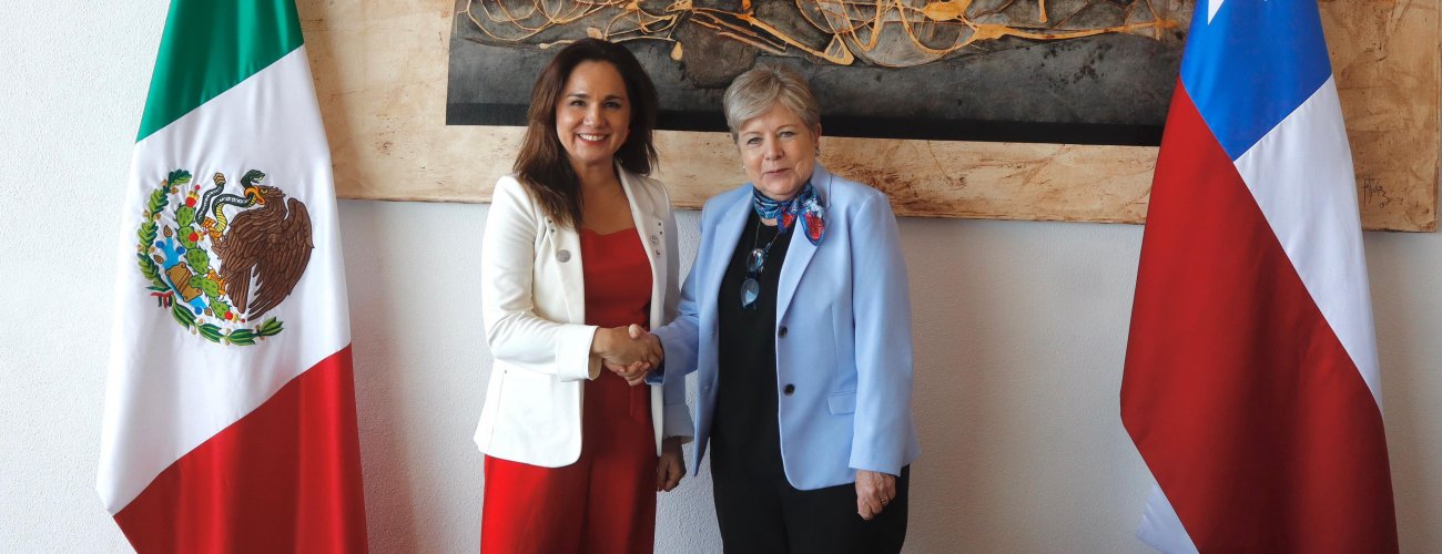Subsecretaria sostiene reuniones bilaterales con Alemania, Bolivia, Canadá, Colombia y México