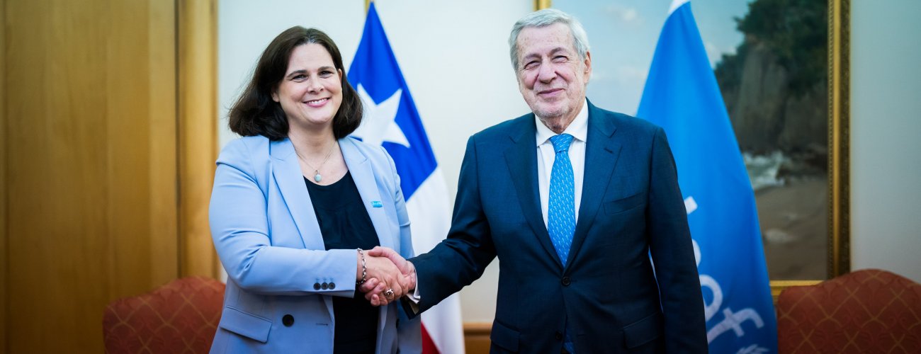 Canciller se reúne con representante de Unicef en Chile