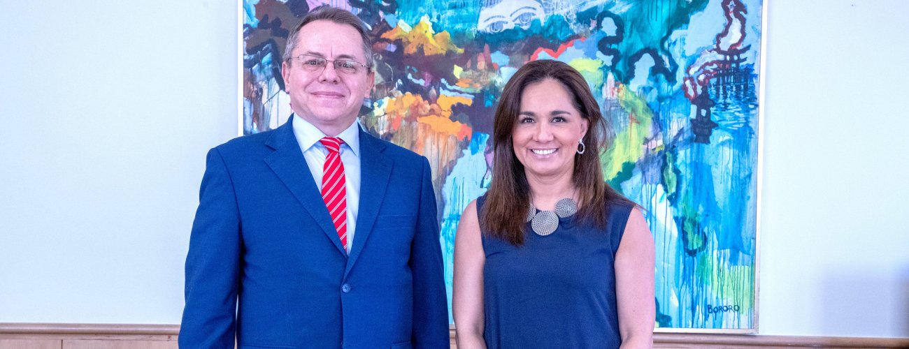 Subsecretaria se reúne con embajador de Ucrania en Chile