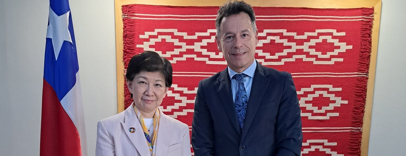 Secretario General de Política Exterior se reúne con Secretaria General Adjunta y Alta Representante para Asuntos de Desarme de Naciones Unidas