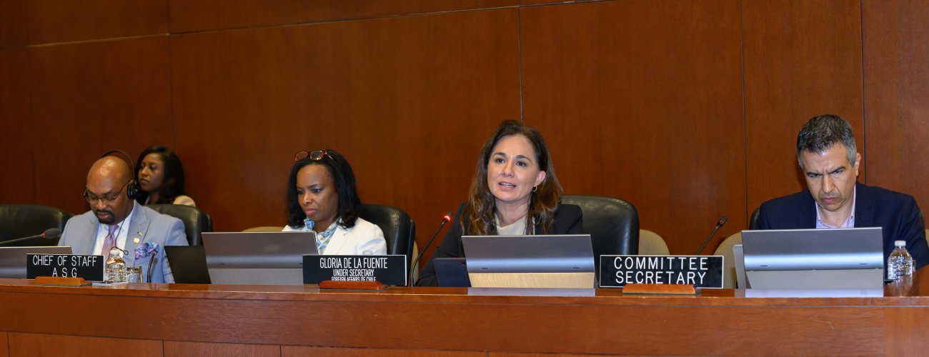 Subsecretaria de Relaciones Exteriores participa en sesión extraordinaria del Consejo Permanente de la OEA