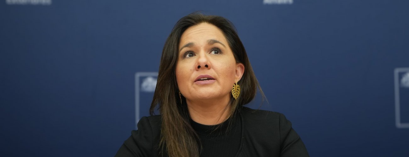 Carbono neutralidad: Canciller (s) participa en Consejo de Ministros y Ministras para la Sustentabilidad y Cambio Climático