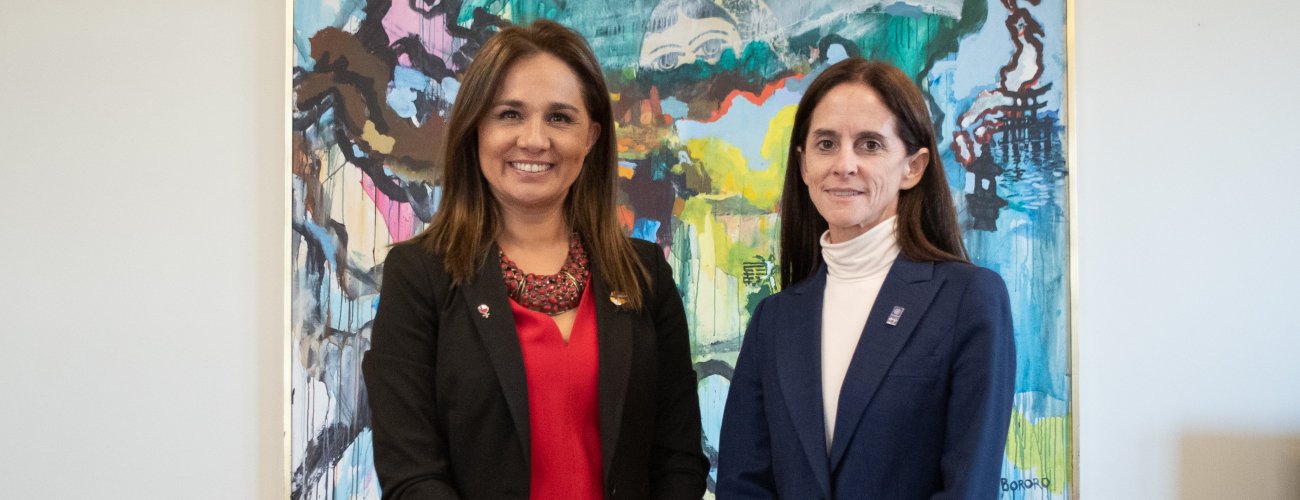 Subsecretaria se reúne con directora regional adjunta para América Latina del PNUD