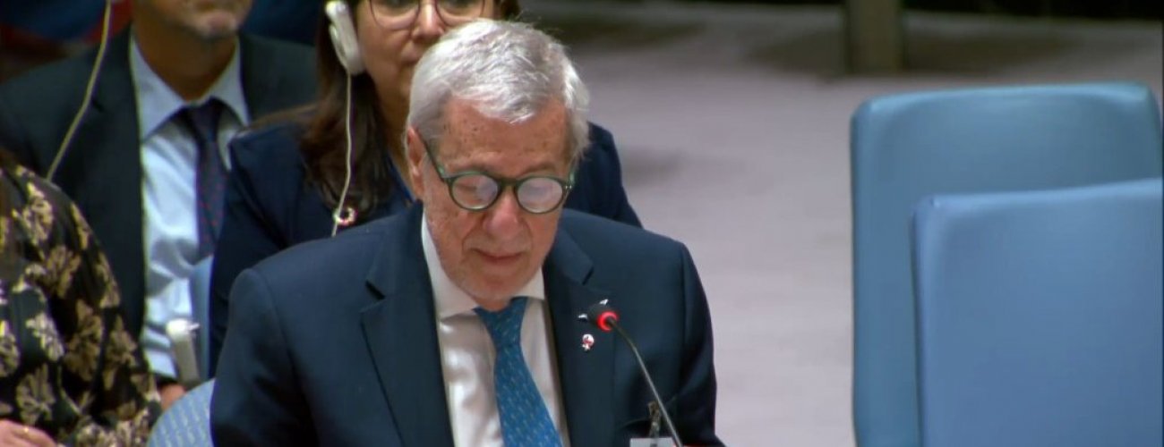 En el marco de la Asamblea General de Naciones Unidas: Canciller expone ante el Consejo de Seguridad