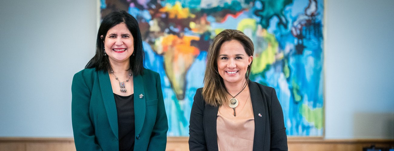 Subsecretaria Gloria de la Fuente recibe en audiencia a la embajadora de Argelia