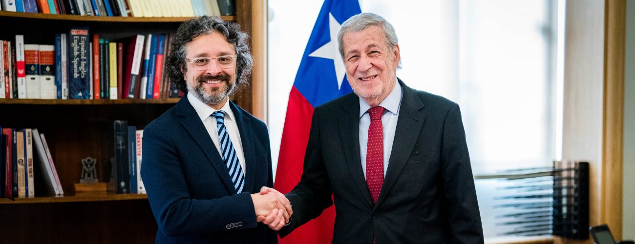 Canciller se reúne con presidente del Consejo de Defensa del Estado
