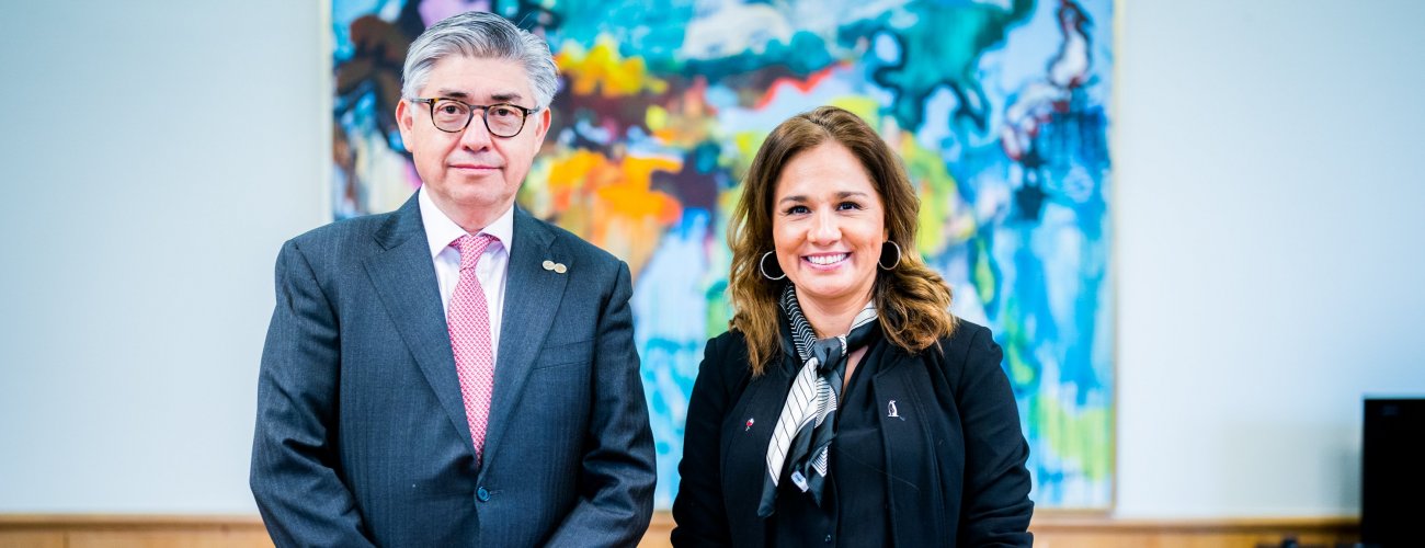 Canciller (s) Gloria de la Fuente se reúne con el Comisionado de CIDH y relator para Chile