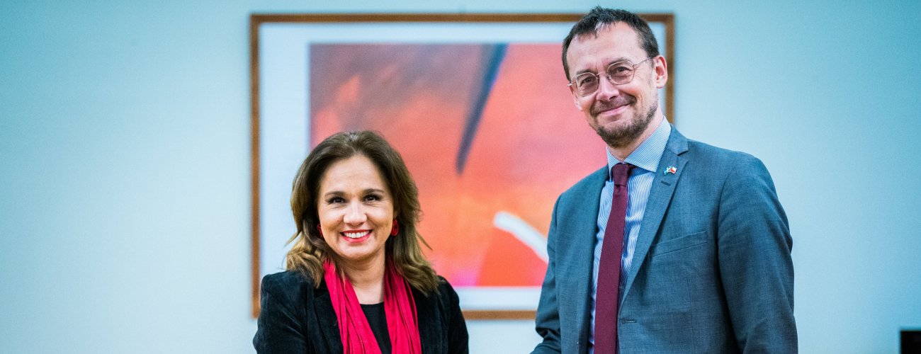Subsecretaria Gloria de la Fuente se reúne con embajador de Suecia en Chile